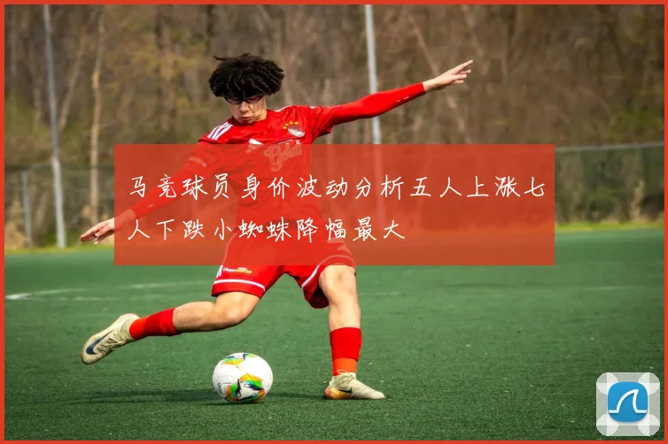 马竞球员身价波动分析五人上涨七人下跌小蜘蛛降幅最大