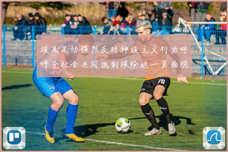 埃及足协强烈反对种族主义行为呼吁全社会共同抵制根除这一负面现象